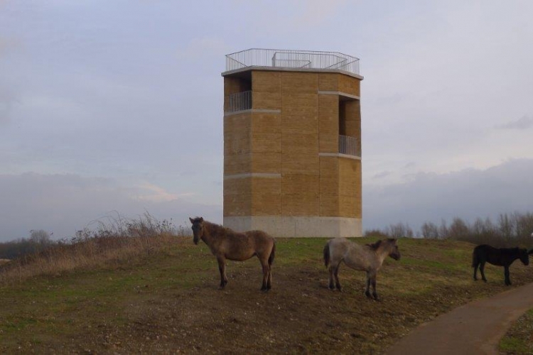 Tour d'observation à Negenoord (Belgique)